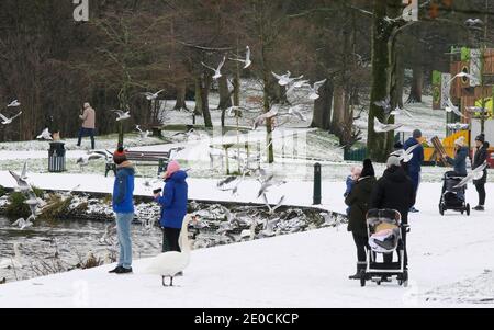 Lurgan Park, County Armagh, Nordirland, 31. Dezember 2020. UK Wetter - der letzte Tag des Jahres und der erste Schneefall des Winters im Lurgan Park. Kredit: David Hunter/Alamy Live Nachrichten. Stockfoto