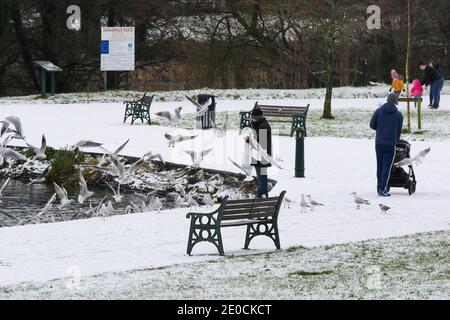 Lurgan Park, County Armagh, Nordirland, 31. Dezember 2020. UK Wetter - der letzte Tag des Jahres und der erste Schneefall des Winters im Lurgan Park. Kredit: David Hunter/Alamy Live Nachrichten. Stockfoto