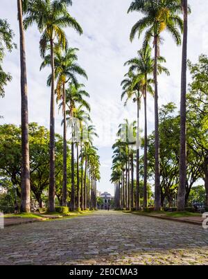 Praça da Liberdade (Platz der Freiheit) alameda mit dem Regierungspalast im Fonds, Belo Horizonte, Brasilien Stockfoto