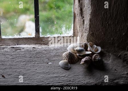 Muscheln auf der Fensterbank der St Cwyfan’s Church, Anglesey, Nordwales Stockfoto