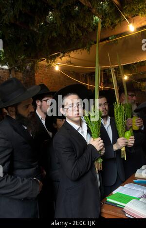 Auf Sukkot segnen Männer jeden Alters die vier Arten in einer Sukkah neben der Lubavitch-Hauptsynagoge in Crown Heights, Brooklyn, New York City. Stockfoto