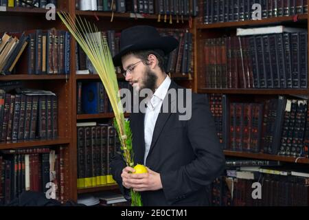 Ein orthodoxer jüdischer Mann segnet die vier Sukkot-Arten im Bibliotheksbereich der Lubavitch-Hauptsynagoge in Brooklyn, New York. Stockfoto