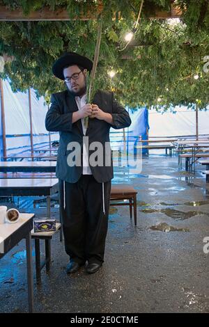 Ein orthodoxer jüdischer Mann segnet die vier Sukkot-Arten in einer Sukkah im Regen. Am Ohel in Cambria Heights, Queens, New York City. Stockfoto