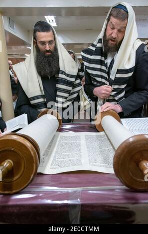 Eine Toravorlesung während eines der mittleren Passahtage. In der Lubavitch Mani Synagoge in Crown Heights, Brooklyn, New York Stockfoto