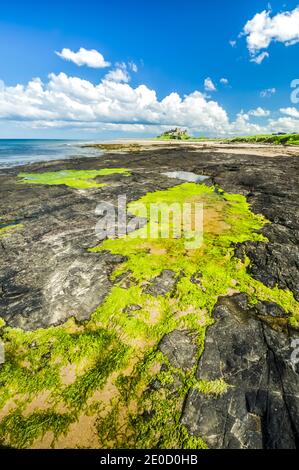 Northumberland. Dies ist die Festung von Bambrugh Castle mit Blick über den Sand der Embleton Bay in Northumberland. Die Burg war die wichtigste Hochburg gegen Überfälle durch die Wikinger im 11. Jahrhundert und ist nach dem Dorf Bambrugh benannt Stockfoto