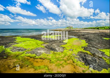 Northumberland. Dies ist die Festung von Bambrugh Castle mit Blick über den Sand der Embleton Bay in Northumberland. Die Burg war die wichtigste Hochburg gegen Überfälle durch die Wikinger im 11. Jahrhundert und ist nach dem Dorf Bambrugh benannt Stockfoto