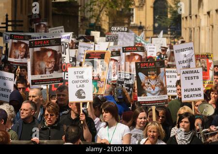 Ein Anti-vivisektionsmarsch, der gegen den Bau eines neuen Tierlabors an der Universität Oxford demonstriert. Turl Street, Oxford, Oxfordshire, Großbritannien. 22 April 2006 Stockfoto