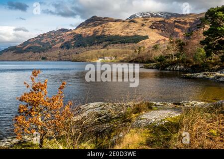 Blick auf das Ostufer von Loch Lomond und Ben Lomond aus Rowardennan, Schottland, Großbritannien Stockfoto