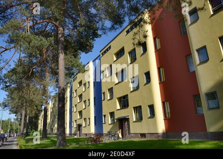 Onkel-Tom-Siedlung, Argentinische Allee, Zehlendorf, Berlin, Deutschland Stockfoto