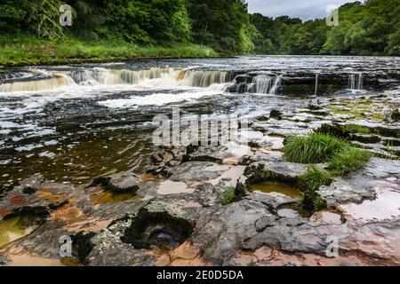 Aysgarth Lower Falls, Wensleydale, North Yorkshire, Yorkshire Dales National Park, England, Großbritannien Stockfoto