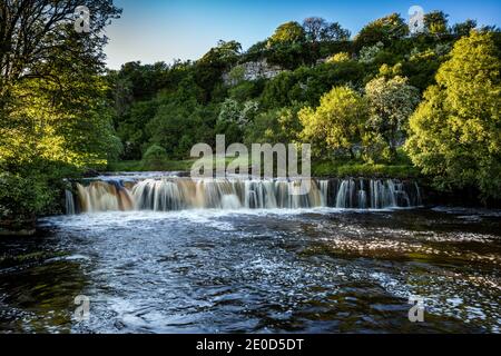 Wain Wath Force auf dem Fluss Swale bei Keld, Swaledale, Yorkshire Dales National Park, England Stockfoto