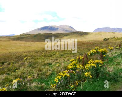 Glencoe, North Argyle Sctland, Großbritannien Stockfoto