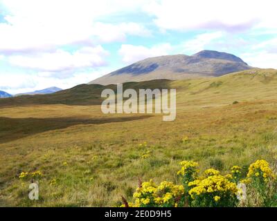 Glencoe, North Argyle Sctland, Großbritannien Stockfoto