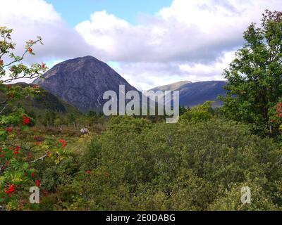 Glencoe, North Argyle Sctland, Großbritannien Stockfoto