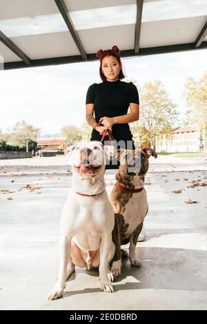 Junge Hipster ethnischen weiblich mit großen reinrassigen American Pit Bull Terrier Hunde an der Leine und Blick auf die Kamera Stockfoto