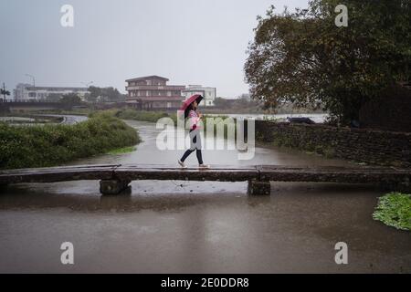 Seitenansicht einer Frau mit Regenschirm, die über einen hölzernen Steg läuft Beim Genießen Einsamkeit an regnerischen Tag in Yilan Grafschaft und Wegschauen Stockfoto