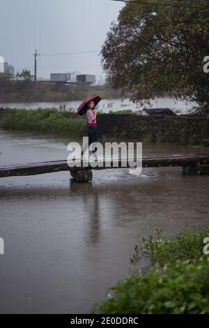 Seitenansicht einer Frau mit Regenschirm, die über einen hölzernen Steg läuft Beim Genießen Einsamkeit an regnerischen Tag in Yilan Grafschaft und Wegschauen Stockfoto