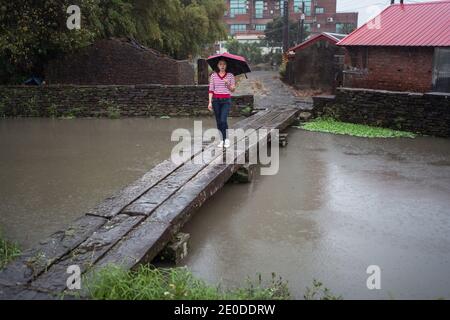 Frau mit Regenschirm, die entlang einer hölzernen Fußgängerbrücke geht und dabei die Einsamkeit genießt An regnerischen Tag in Yilan County und wegschauen Stockfoto