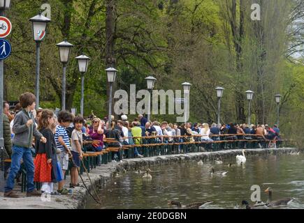 Seehaus Biergarten am Kleinhesseloher sehen, Englischer Garten, München, Bayern, Deutschland Stockfoto