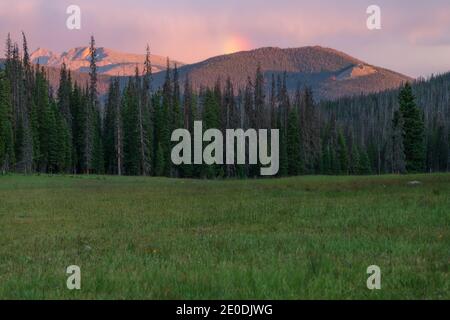 Long Meadows - tief im Hinterland nahe Grand Lake, CO Stockfoto