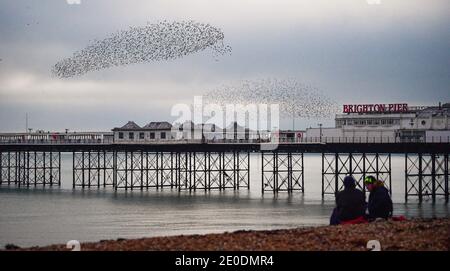 Brighton UK 31. Dezember 2020 - Stare spielen ihren letzten Tanz von 2020 über Brighton Palace Pier, während sie an ihrem täglichen Murren teilnehmen, während die Sonne am 2020 an der Südküste von Großbritannien untergeht. Kredit Simon Dack / Alamy Live Nachrichten Stockfoto