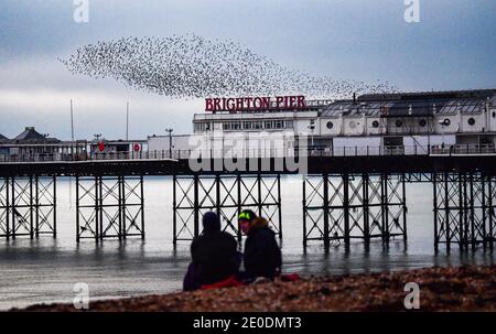 Brighton UK 31. Dezember 2020 - Stare spielen ihren letzten Tanz von 2020 über Brighton Palace Pier, während sie an ihrem täglichen Murren teilnehmen, während die Sonne am 2020 an der Südküste von Großbritannien untergeht. Kredit Simon Dack / Alamy Live Nachrichten Stockfoto