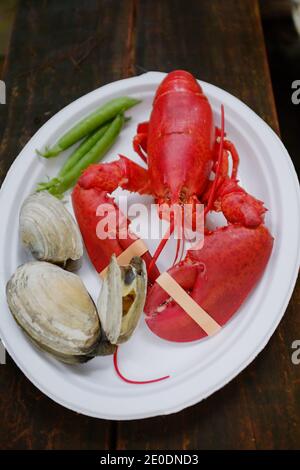 Hummer Clam Bake in Maine Stockfoto