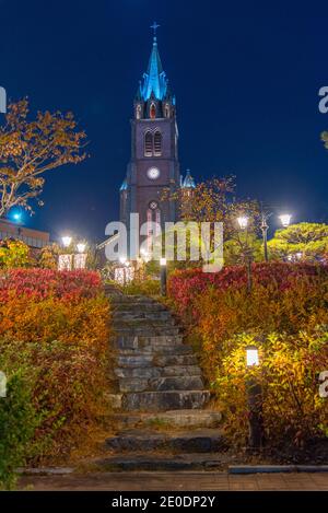 Nachtansicht der Myeongdong Kathedrale in Seoul, Republik Korea Stockfoto