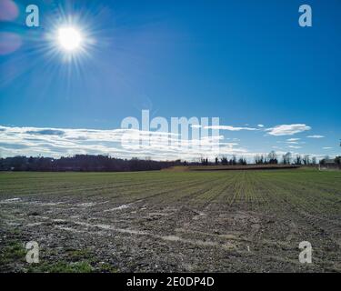 Geometrien von Natur und Mensch. Blick von oben. Stockfoto