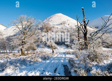 Luftaufnahme der Five Sisters Shale bing nach Nachtschnee, West Calder, West Lothian, Schottland. Stockfoto