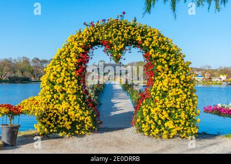 Liebesbrücke, die zum Pavillon am Gungnamji Teich in Buyeo, Republik Korea führt Stockfoto