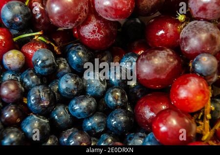 Nahaufnahme von gemischten Früchten wie Heidelbeeren, Trauben und Kirschen. Stockfoto