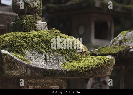 Moos wächst auf Stein japanischen Laternen Stockfoto