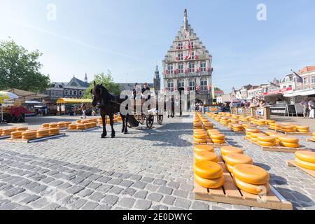 Gouda Käse wird in kleinen Stapeln vor dem historischen Rathaus platziert, oder Stadhuis Gouda für den Gouda Käsemarkt, der von früh stattfindet Stockfoto