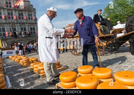 Nach einer Verhandlung schließen der Käsemarkt und der Landwirt den Deal, indem sie sich gegenseitig die Hände auf dem Gouda Käsemarkt schlagen. Stockfoto