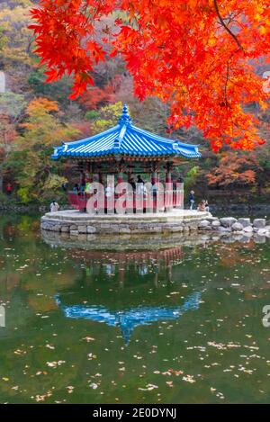 Blauer Pavillon auf einem Teich im Naejangsan Nationalpark In der republik Korea Stockfoto