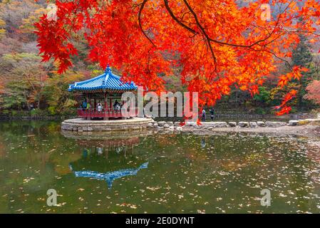 Blauer Pavillon auf einem Teich im Naejangsan Nationalpark In der republik Korea Stockfoto