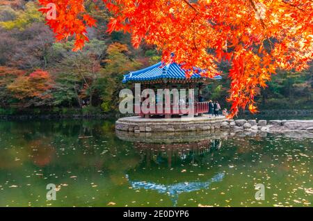 Blauer Pavillon auf einem Teich im Naejangsan Nationalpark In der republik Korea Stockfoto