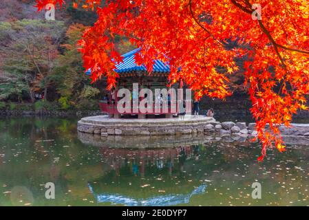 Blauer Pavillon auf einem Teich im Naejangsan Nationalpark In der republik Korea Stockfoto