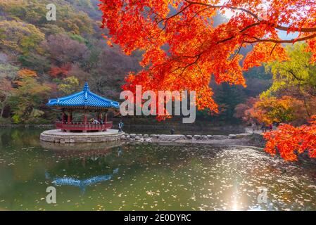 Blauer Pavillon auf einem Teich im Naejangsan Nationalpark In der republik Korea Stockfoto