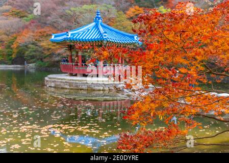 Blauer Pavillon auf einem Teich im Naejangsan Nationalpark In der republik Korea Stockfoto