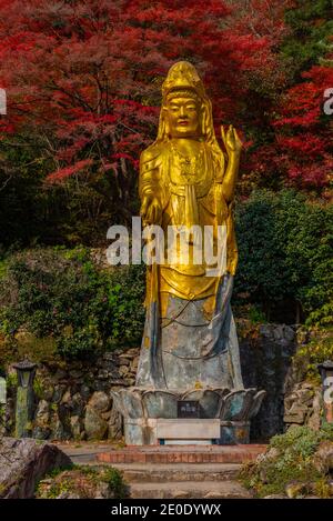 Statue des Goldenen Buddha im Naejangsan Nationalpark in der republik Von Korea Stockfoto