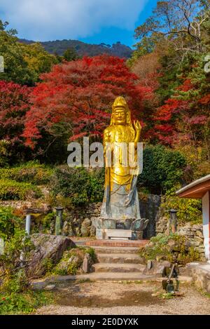 Statue des Goldenen Buddha im Naejangsan Nationalpark in der republik Von Korea Stockfoto