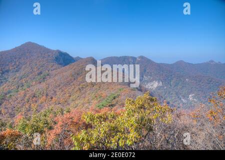 Gipfel des Naejangsan Nationalparks in der Republik Korea Stockfoto