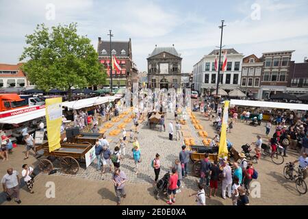 Der Gouda-Käse wird hier vor dem historischen De Waag, einem Käsewägehaus aus dem 17. Jahrhundert für den Gouda-Käsemarkt, der dort stattfindet, in kleinen Stückchen gestellt Stockfoto