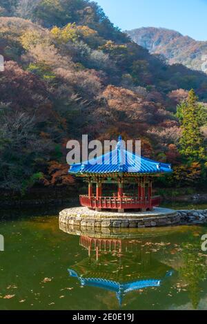 Blauer Pavillon auf einem Teich im Naejangsan Nationalpark In der republik Korea Stockfoto