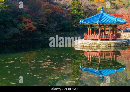 Blauer Pavillon auf einem Teich im Naejangsan Nationalpark In der republik Korea Stockfoto