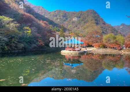 Blauer Pavillon auf einem Teich im Naejangsan Nationalpark In der republik Korea Stockfoto