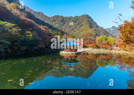 Blauer Pavillon auf einem Teich im Naejangsan Nationalpark In der republik Korea Stockfoto