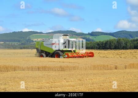 Claas Combine Erntegut - landschaftlich reizende Landwirtschaft Coupar Angus, Perthshire, Schottland Stockfoto